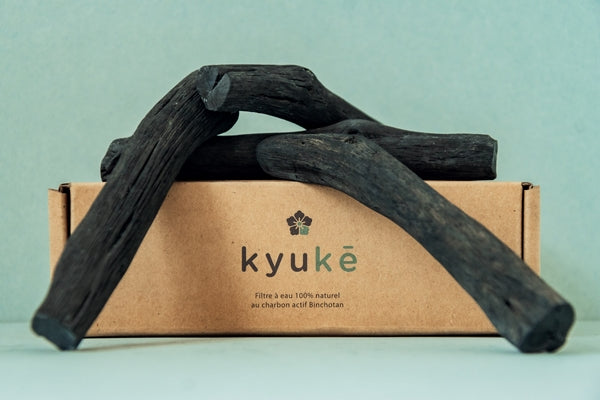 Charbon actif Binchotan m pour carafe jusqu'à 2l - 1