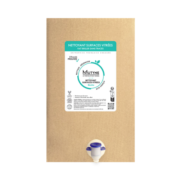 Nettoyant surfaces vitrées menthe - 1